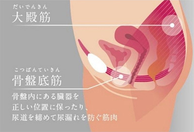 骨盤底筋ケア